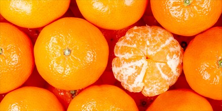 Tangerine Clementine Fruit Tangerine Clementine Fruit from above Panorama