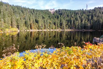 Mummelsee and mountain Hornisgrinde in Black Forest landscape nature in autumn in Seebach