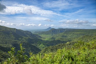 Black River Gorges National Park