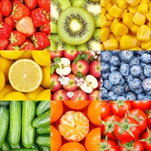 Fruits Fruit and Vegetables Collage Collection Background with Apples Apple Tomatoes Square