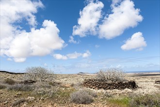 Barren landscape