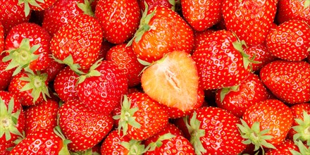 Strawberries Berries Fresh Fruit Strawberry Berry Fruit from above Panorama