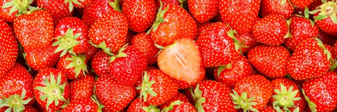 Strawberries Berries Fresh Fruit Strawberry Berry Fruit Panorama from above