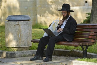 Orthodox Jew in the park with laptop