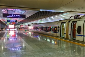Siemens Velaro CN CRH3 high-speed train at Shanghai Hongqiao Railway Station in Shanghai