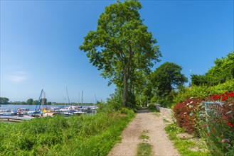 Sport boat harbour on the Treene