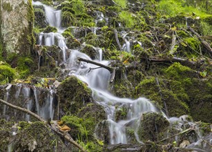 Small waterfalls on a wooded slope of the Wutach near the Schattenmuehle