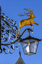 Nose shield with golden stag and lantern