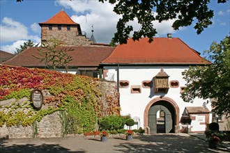 Schloss Eberstein Winery
