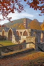 Hirsau monastery ruins