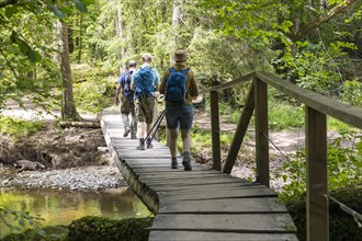 Hikers crossing a bridge over the Wutach