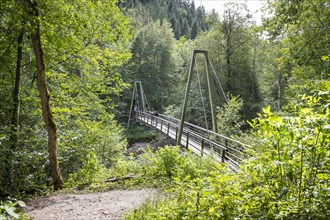 Suspension bridge over the Wutach