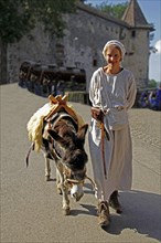 Donkey driver