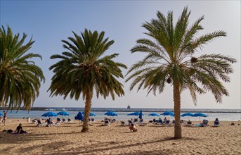 Palm trees and holidaymakers on the beach Playa de Las Teresitas