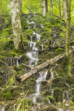 Small waterfalls on a wooded slope of the Wutach near the Schattenmuehle