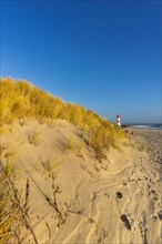 Lighthouse on the beach