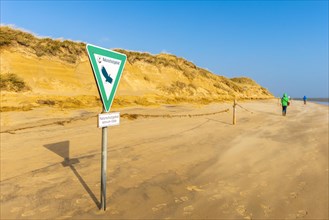 Amrum Odde nature reserve