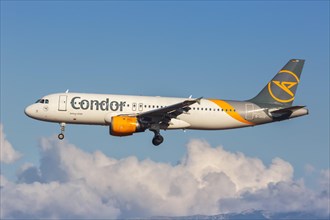 A Condor Airbus A320 with the registration D-AICD at the airport in Palma de Majorca