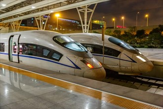 Siemens Velaro CN CRH3 high-speed trains at Shanghai Hongqiao Railway Station in Shanghai