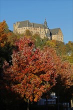 Marburg Castle in autumn