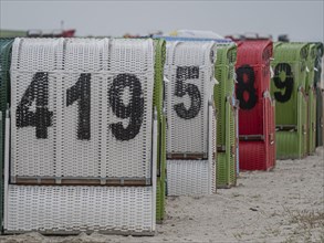 Numbered beach chairs in white