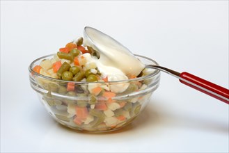 Ingredients for Russian salad and spoon with mayonnaise