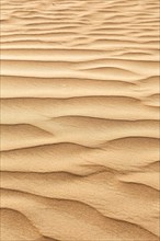 Desert Sand in Dubai