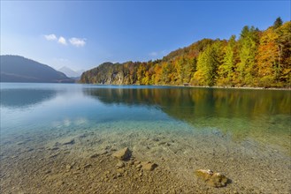 Lake Alpsee in autumn