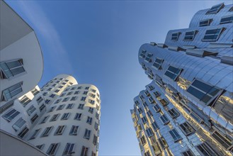 Gehry Buildings