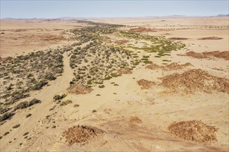 The dry bed of the Ugab river cuts through arid desert plains