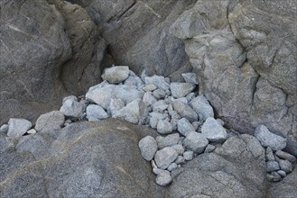 Stones and rocks on the beach