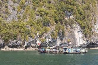 Fishing boats in Halong Bay