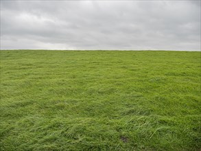 Grass-covered dyke under grey sky