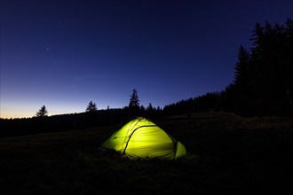 Illuminated green tent at the edge of the forest