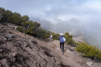 Hikers on trail to the summit of Pico Ruivo