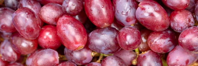 Red grapes grape grape fruit fruit background from above panorama