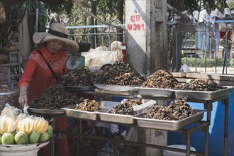 Woman selling roasted insects