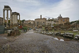 Roman Forum excavation site