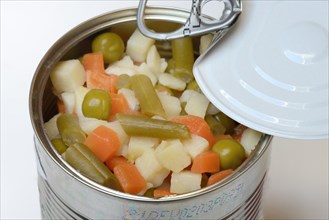 Ingredients for Russian Salad in a Tin