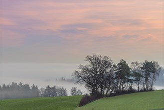 Countryside at Dawn with Morning Mist