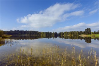 Landscape reflected in lake