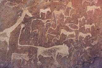 The famous lion panel at the Twyfelfontein rock engravings west of the town of Khorixas