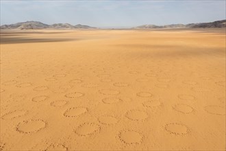 Sandy desert plain with so-called Fairy Circles