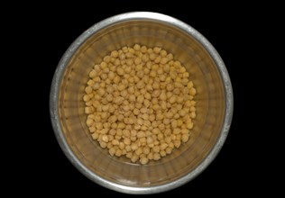 Raw chickpeas soaked in water