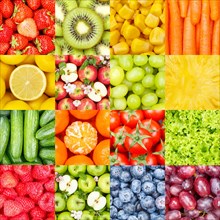 Fruits Fruit and Vegetable Collage Collection Background with Berries Apples and Carrots Square