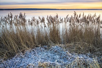 Winter atmosphere on the shore of Lake Duemmer