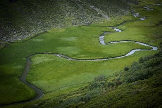 Meandering mountain stream in meadow landscape
