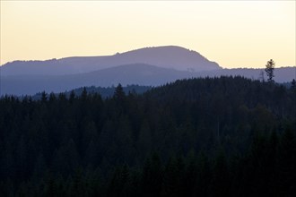 View in the morning light of the Belchen in the Black Forest