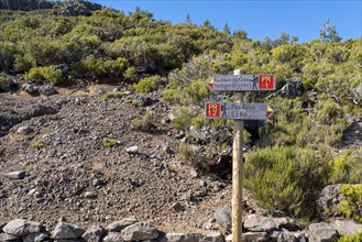 Hiking trail and signpost near the summit of Pico Ruivo