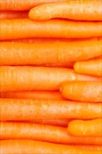 Carrots Carrot Vegetable Background from above